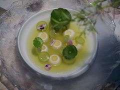 -Tomacado花厨(One ITC店)