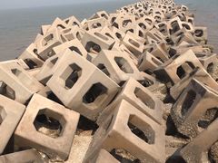 -东疆建设开发纪念公园