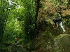-缙云山景区