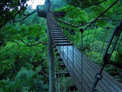 -清迈丛林飞跃 JungleFlight