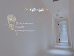 -紫御国际抗衰ZOE ANTI AGING
