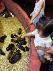 -Zoolung Zoolung动物主题公园(海信广场店)