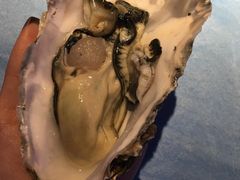 -千岛蚝高压锅生蚝·人参火锅(白云万达店)