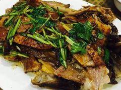 -肥信潮菜(科新路店)