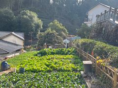-西湖风景区十里琅珰-五云山