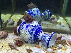 -苏州海洋馆