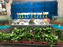 水产区-海岛渔村大酒店(云霄路店)