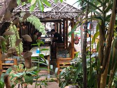 -Jungle Kitchen