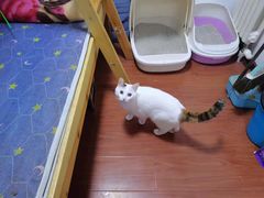-宠颐生中康贝怡动物医院