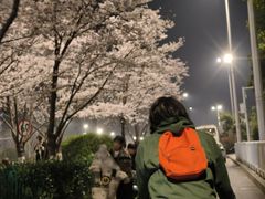 -华中科技大学光谷体育馆