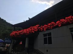 -将军关探险漂流