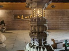 -九华山聚龙大酒店