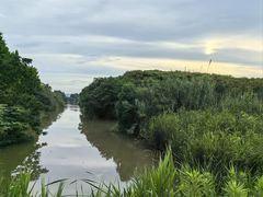 -上海国际音乐村