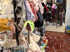 -多卡布奇宠物生活馆(上林世家店)