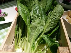 -番食园鲜食火锅(高新店)