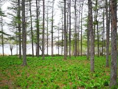 -长春市南湖公园