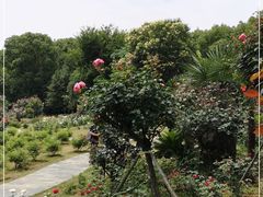 -东湖落雁景区
