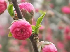 -永定河休闲森林公园