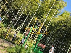-东明山森林公园