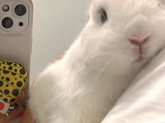 -王鹏家常菜馆