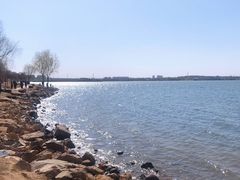 -丁香湖公园
