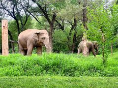 -北京野生动物园