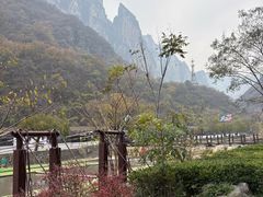 -云台山风景名胜区