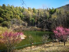 -宝岩生态观光园