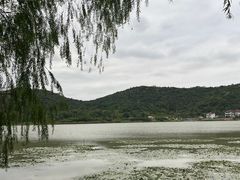 -鸣鹤古镇