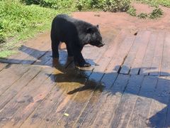 -海南热带野生动植物园