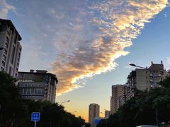 -半天妖烤鱼(丰科万达店)