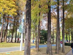 -四海公园(南山区)