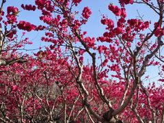 -圆明园(地铁站)