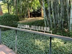 -云溪植物园