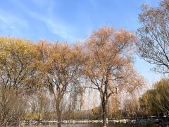 -石家庄市植物园