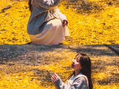 -三里屯东五街银杏大道