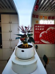 -章光101防脱养发荟