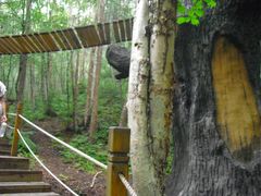 -五营红松林海景区