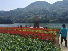 -广州市石门国家森林公园