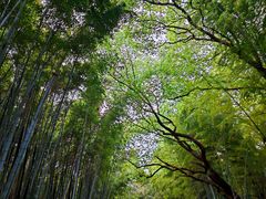 -同里国家湿地公园