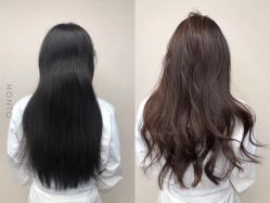 -BOF HAIR BY HONTO