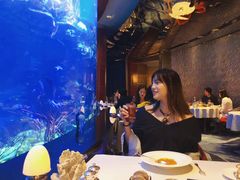 -迪拜帆船酒店海底餐厅