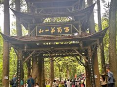 -青城山
