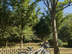 -永定河休闲森林公园