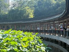 -龙头寺公园
