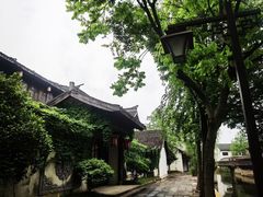 -鲁镇