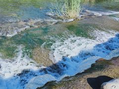 -白河湾生态旅游一条川