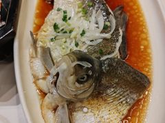-刘胖子家常菜·蹄花焖藕(中南店)