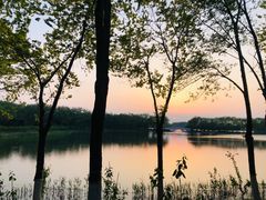 -大兴滨河森林公园