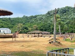 -杭州野生动物世界